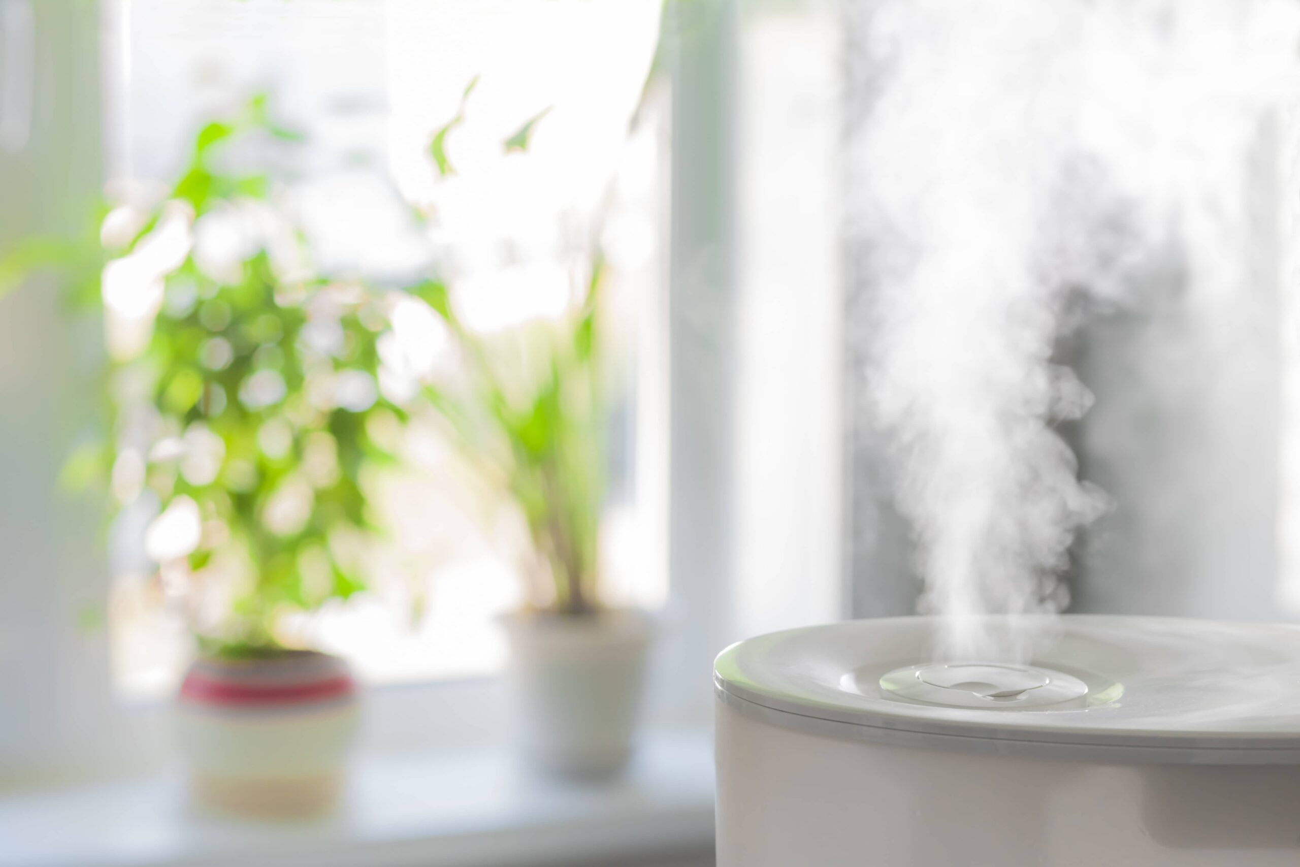 room-humidifier-benefits-clean-air